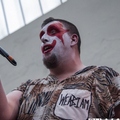 Click to enlarge GutterPunk - Professional Concert Photography